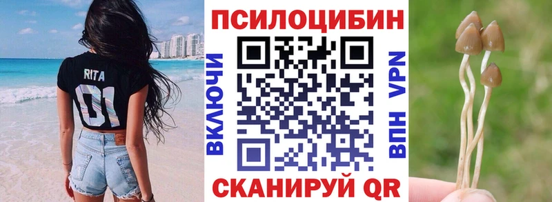Галлюциногенные грибы Psilocybe  Краснозаводск 